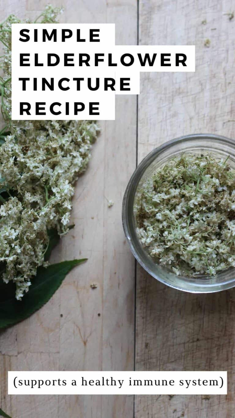 Simple Homemade Elderflower Tincture Recipe Documenting Simple Living