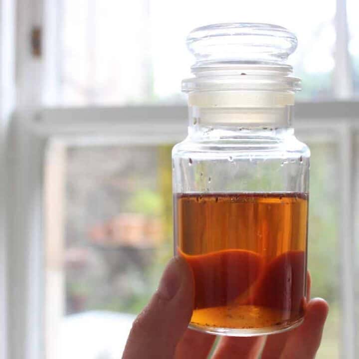 A person holding a small glass bottle of lemon balm tincture in front of a sunny window.
