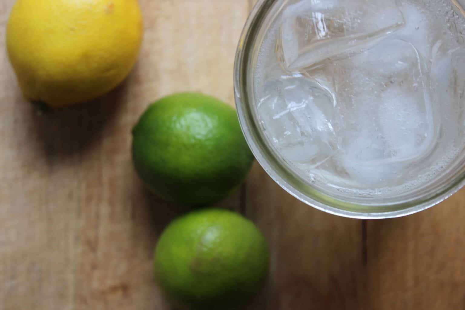 Simple Lemon Lime & Bitters Recipe Documenting Simple Living