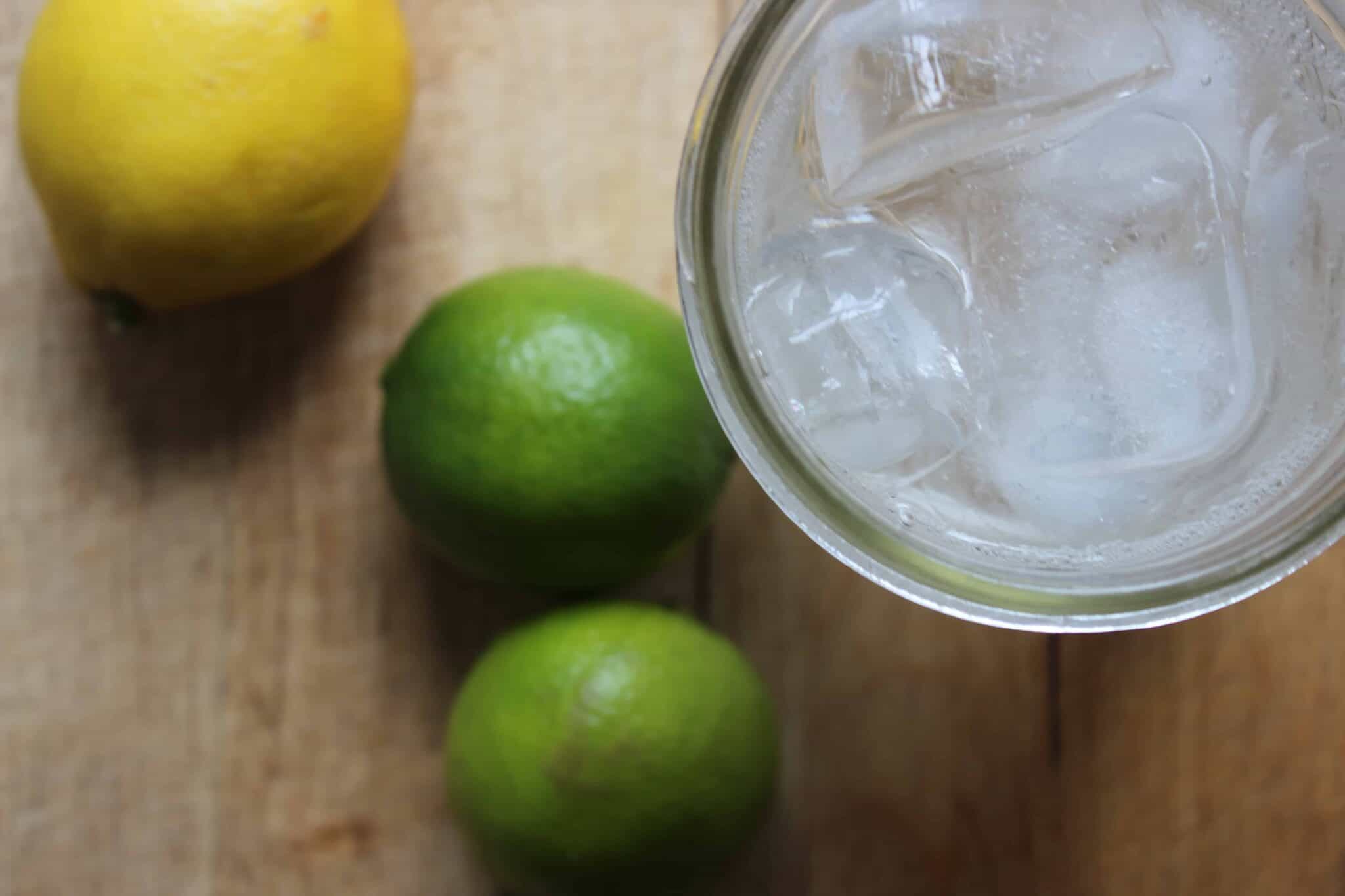 Simple Lemon Lime & Bitters Recipe Documenting Simple Living