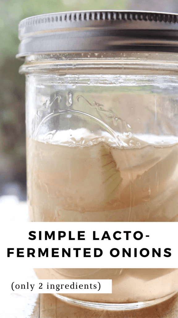 Lacto-fermented onions