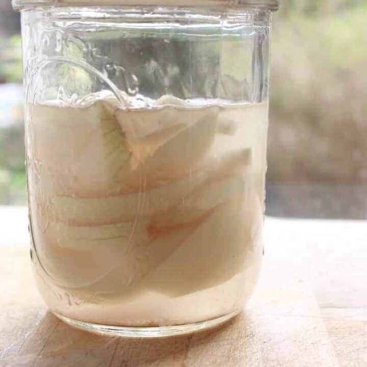 Lacto-fermented onions