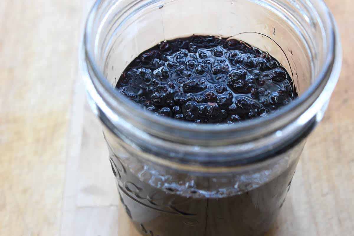 How To Make Elderberry Tincture Documenting Simple Living