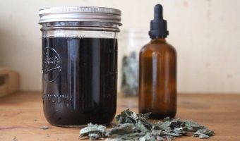 A glass jar with black mullein tincture inside. There's an amber glass dropper bottle in the background and dried mullein in front of everything.