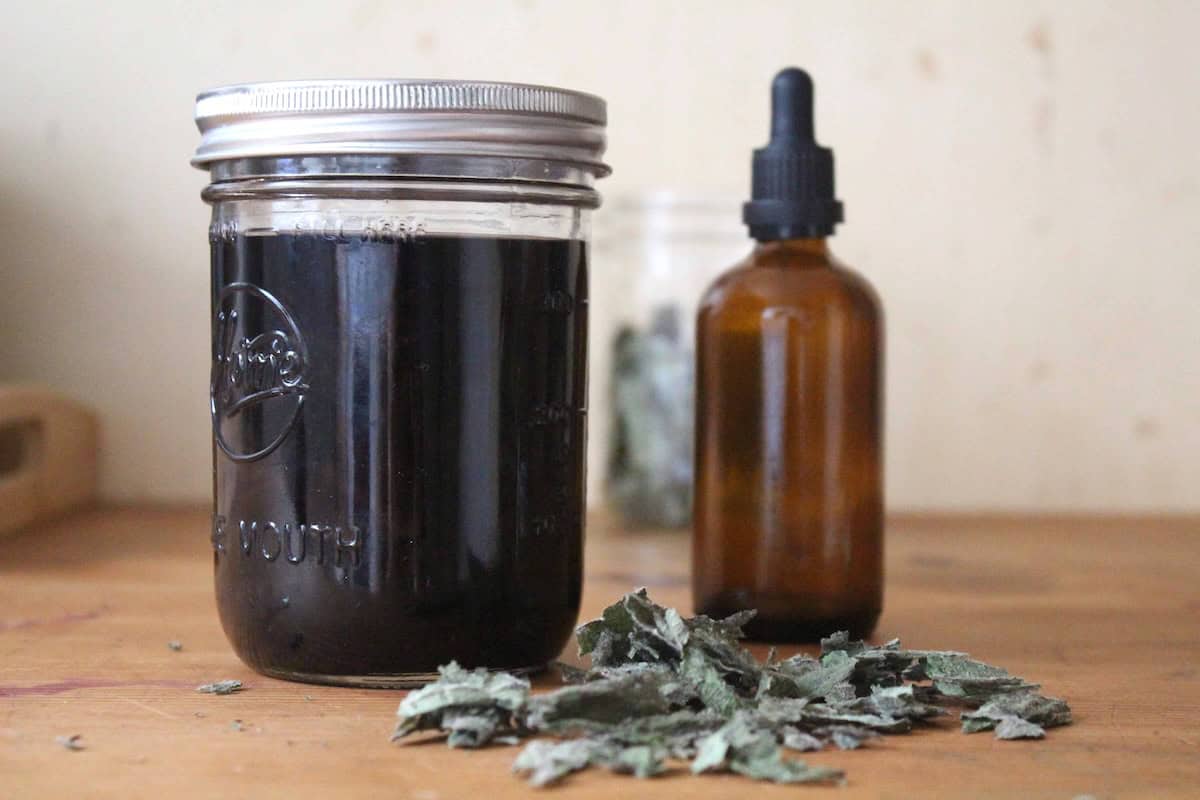 A glass jar with black mullein tincture inside. There's an amber glass dropper bottle in the background and dried mullein in front of everything.