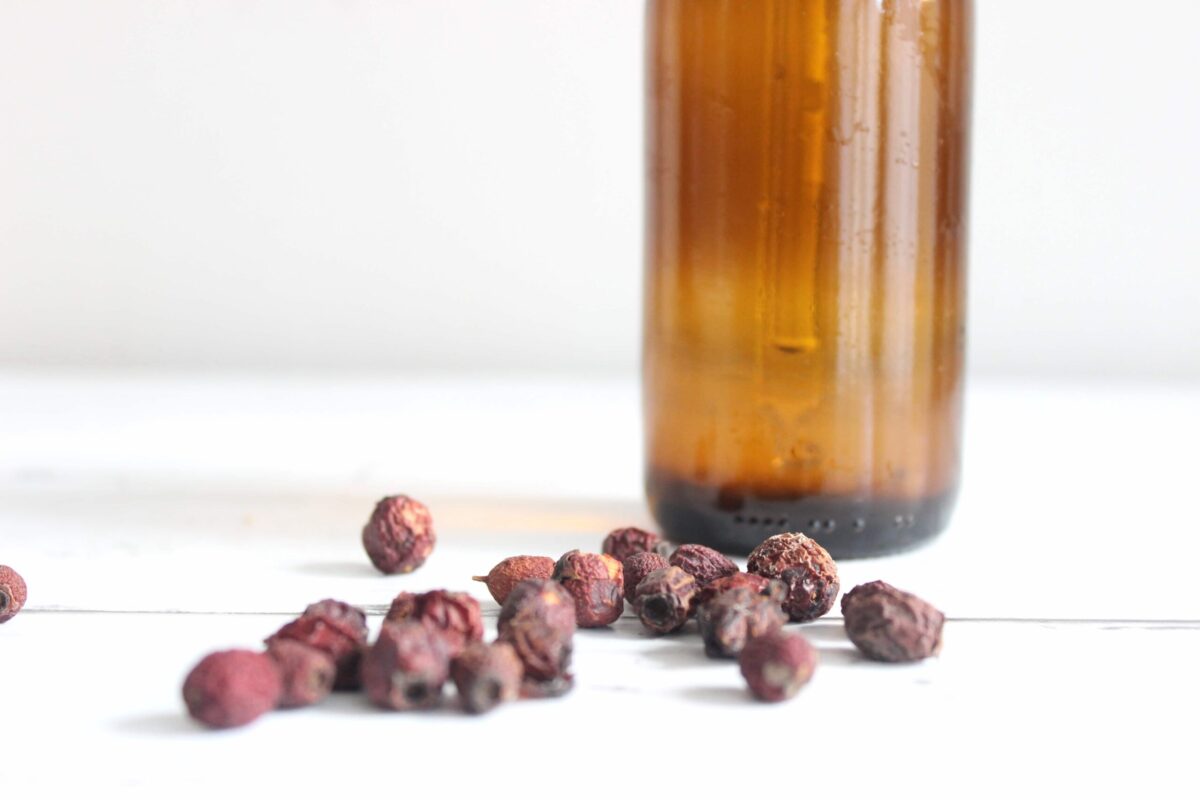 A close up of an amber glass dropper bottle with hawthorn berry tincture inside. There are dried red hawthorn berries in front of the bottle.