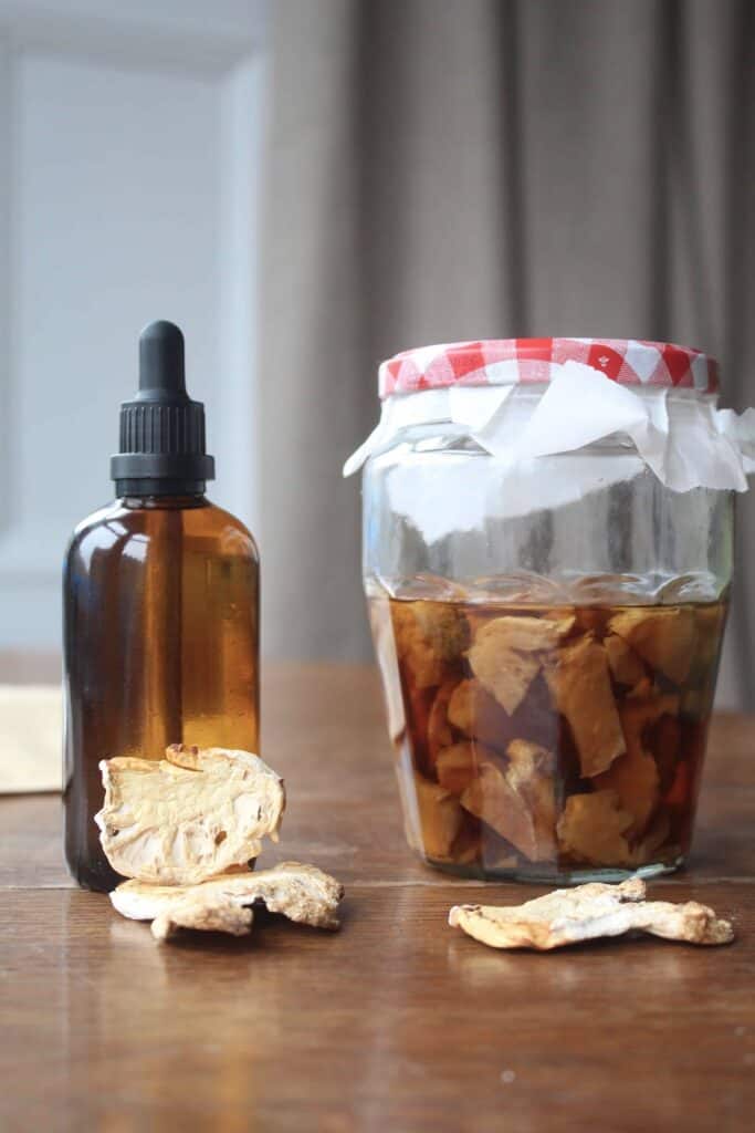 An amber glass dropper bottle with lion's mane tincture inside. There's a glass jar with lion's mane steeping in alcohol beside the tincture bottle. There are white chunks of lion's mane in front of the dropper bottle.