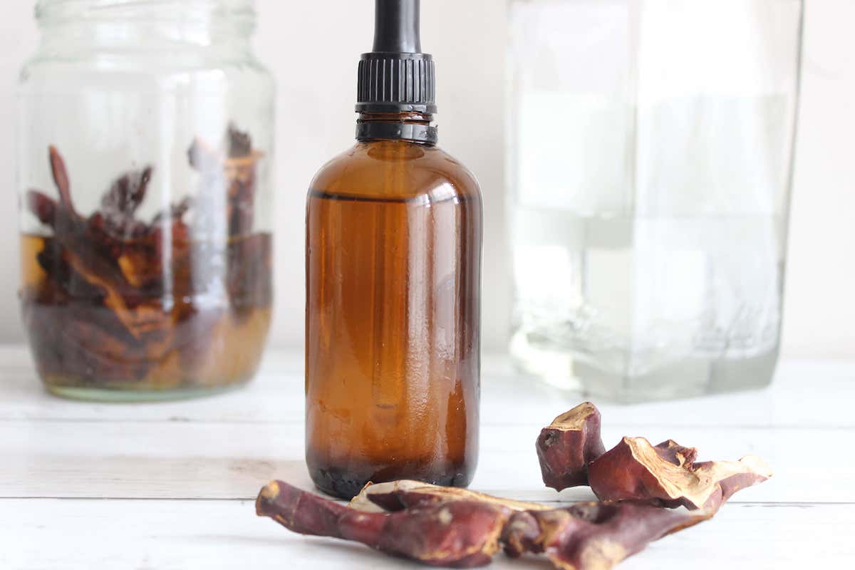 An amber glass dropper bottle with dried reishi mushrooms in front of it. There is a glass jar with reishi mushrooms steeping in alcohol in the background.