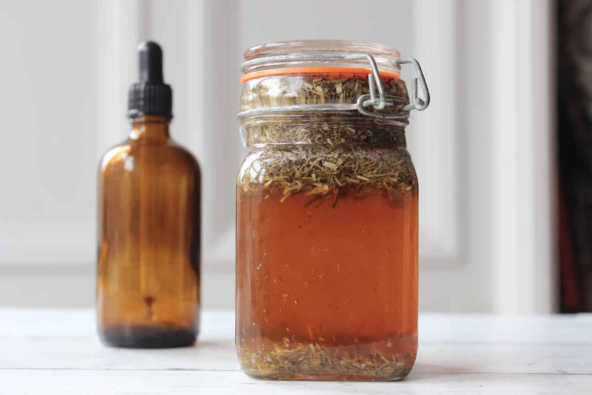 Yarrow steeping in alcohol in a glass jar to make yarrow tincture.