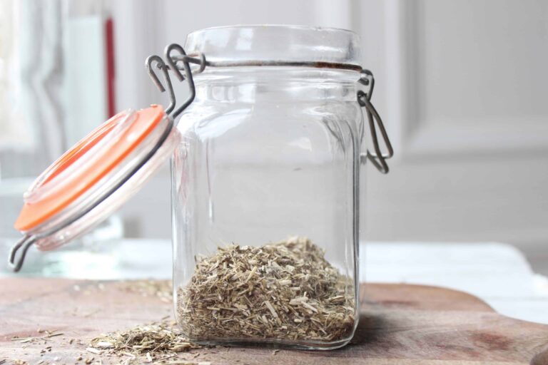 How To Make Yarrow Tincture (DIY Healing Recipe) Documenting Simple