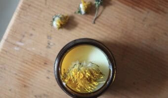 An overhead shot of homemade dandelion salve in an amber glass jar. There's a dried dandelion on top and beside the jar.