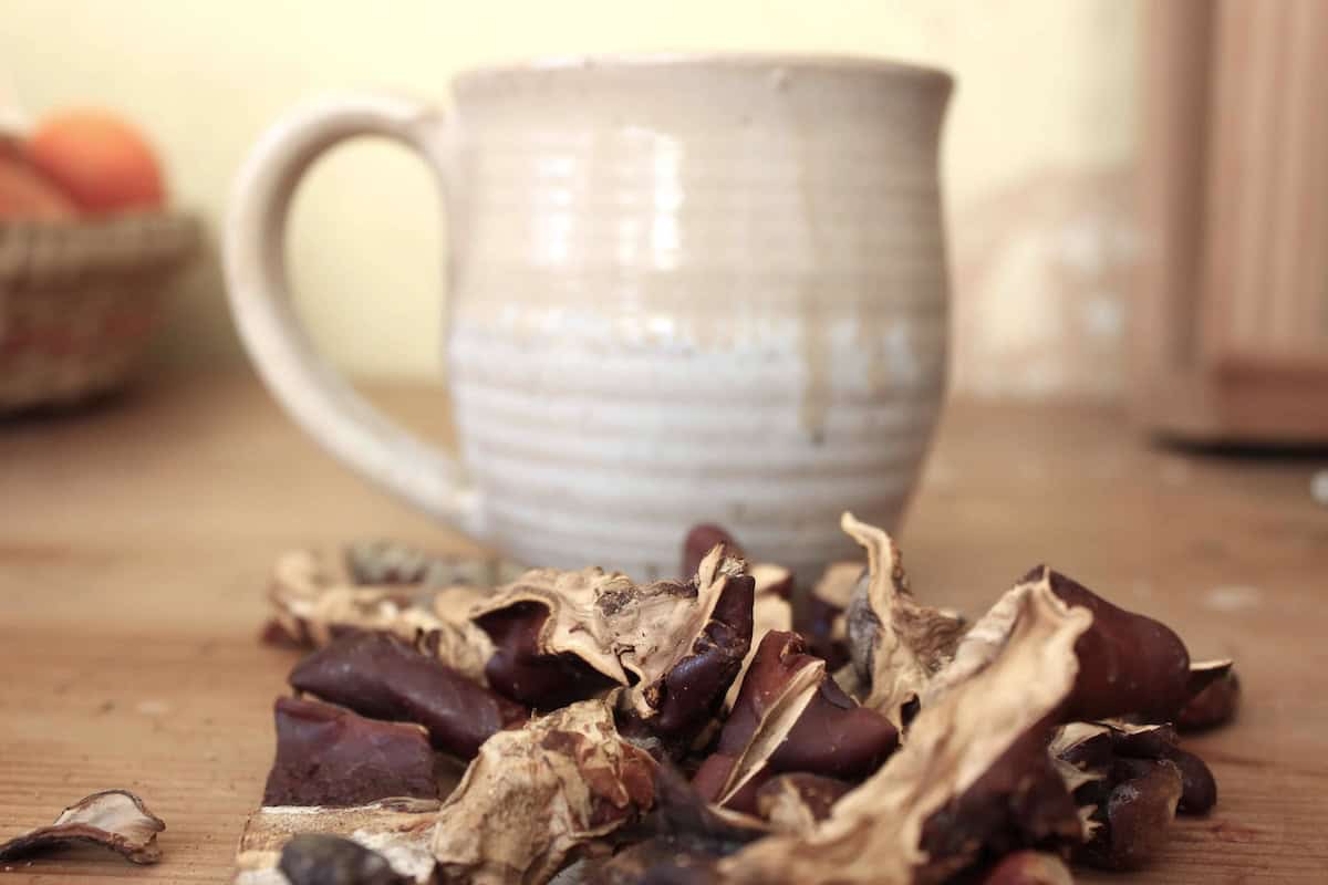 How To Prepare Reishi Tea (ImmuneBoosting Mushroom) Documenting