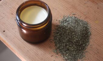 An overhead shot of plantain salve in an amber glass jar. There is dried plantain beside it.
