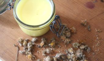 An overhead shot of a glass jar with arnica salve inside. There are dried arnica flowers on the wooden table.