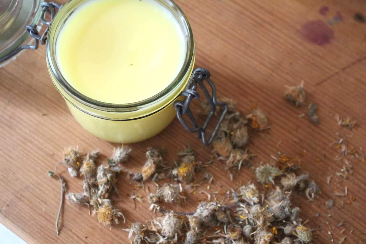An overhead shot of a glass jar with arnica salve inside. There are dried arnica flowers on the wooden table.
